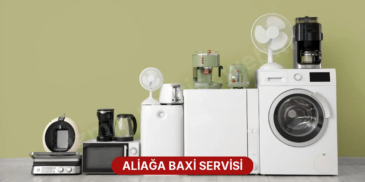Aliağa Baxi Servisi