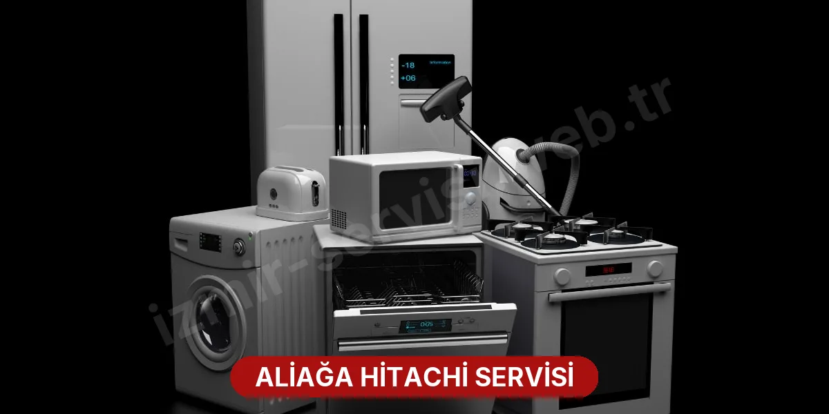 Aliağa Hitachi Servisi