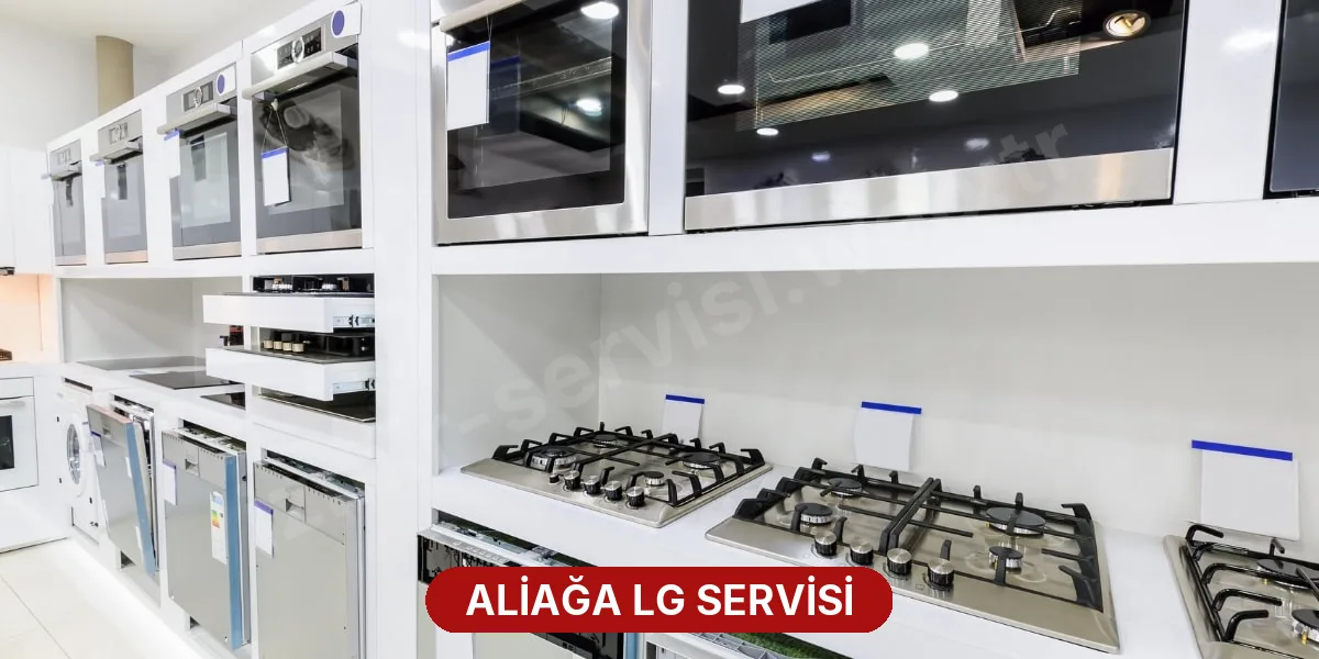 Aliağa LG Servisi