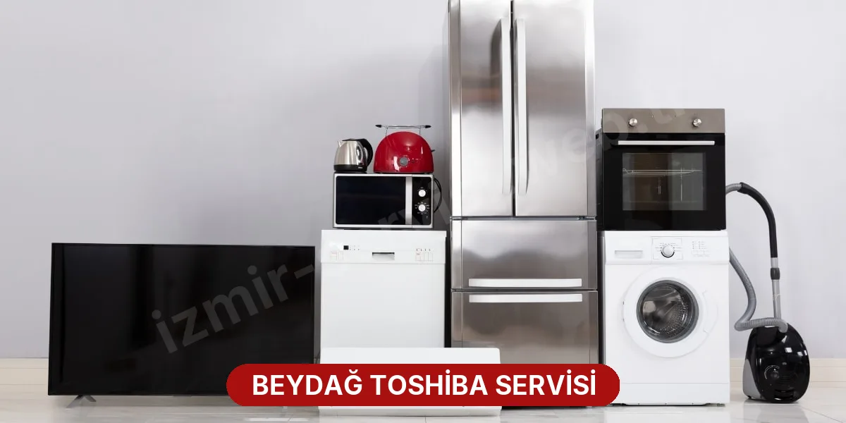 Beydağ Toshiba Servisi