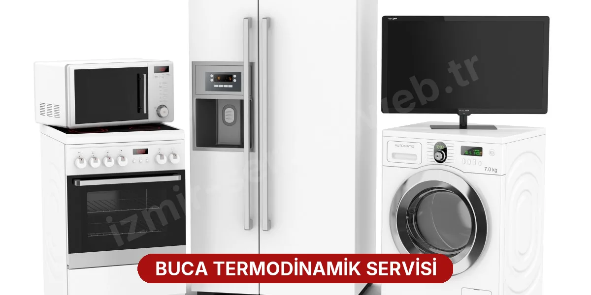 Buca Termodinamik Servisi