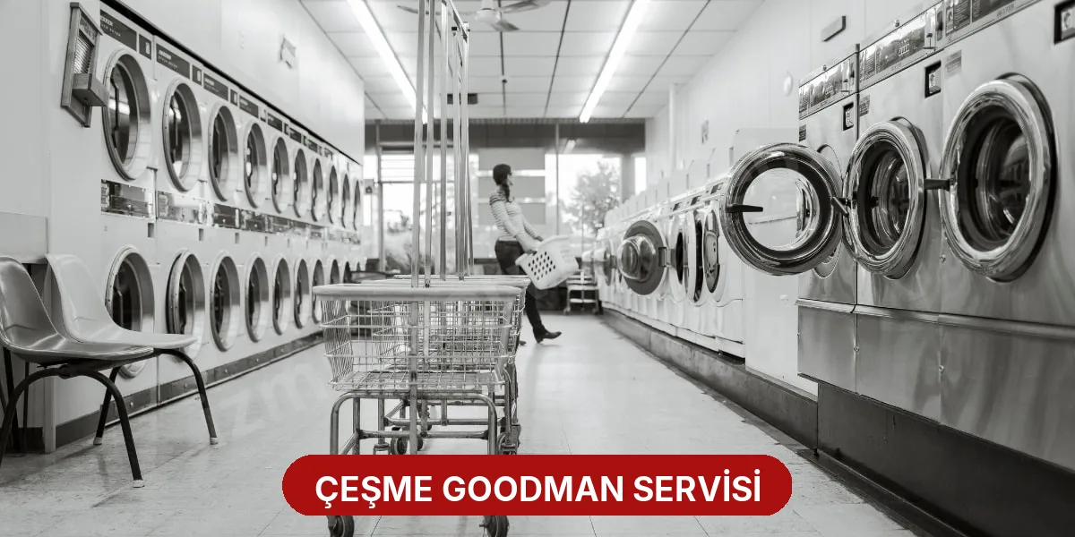 Çeşme Goodman Servisi