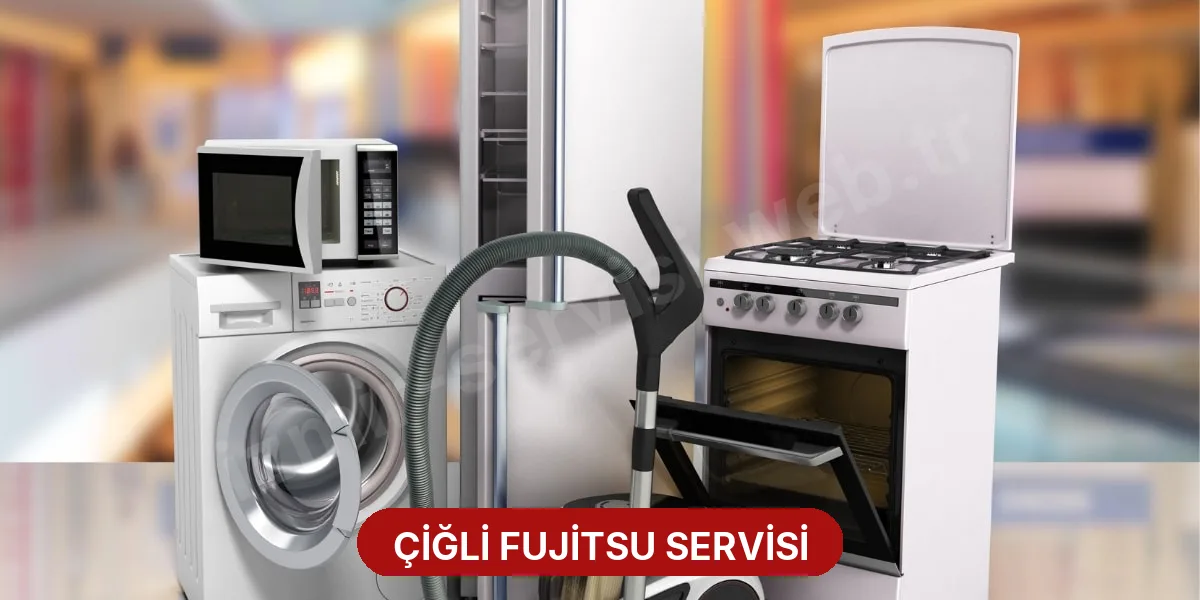 Çiğli Fujitsu Servisi