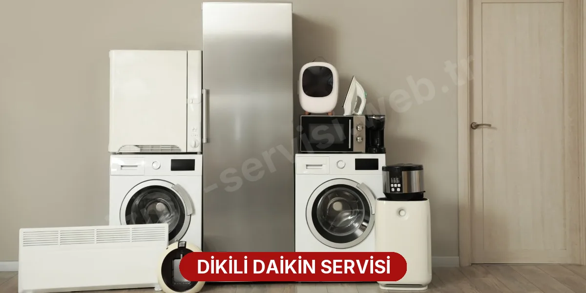 Dikili Daikin Servisi