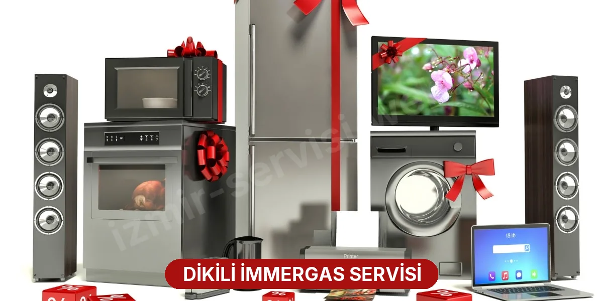Dikili İmmergas Servisi