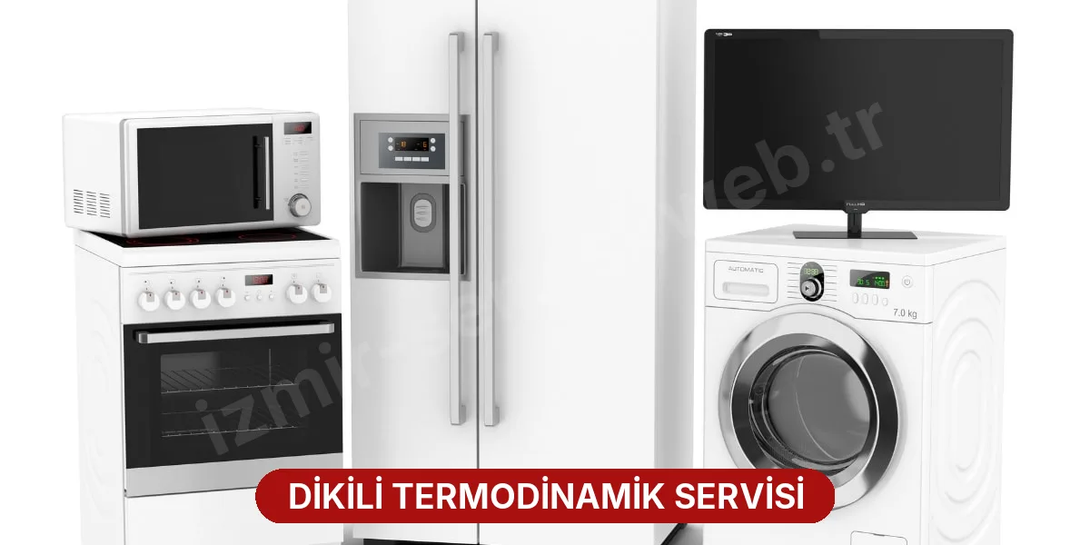 Dikili Termodinamik Servisi