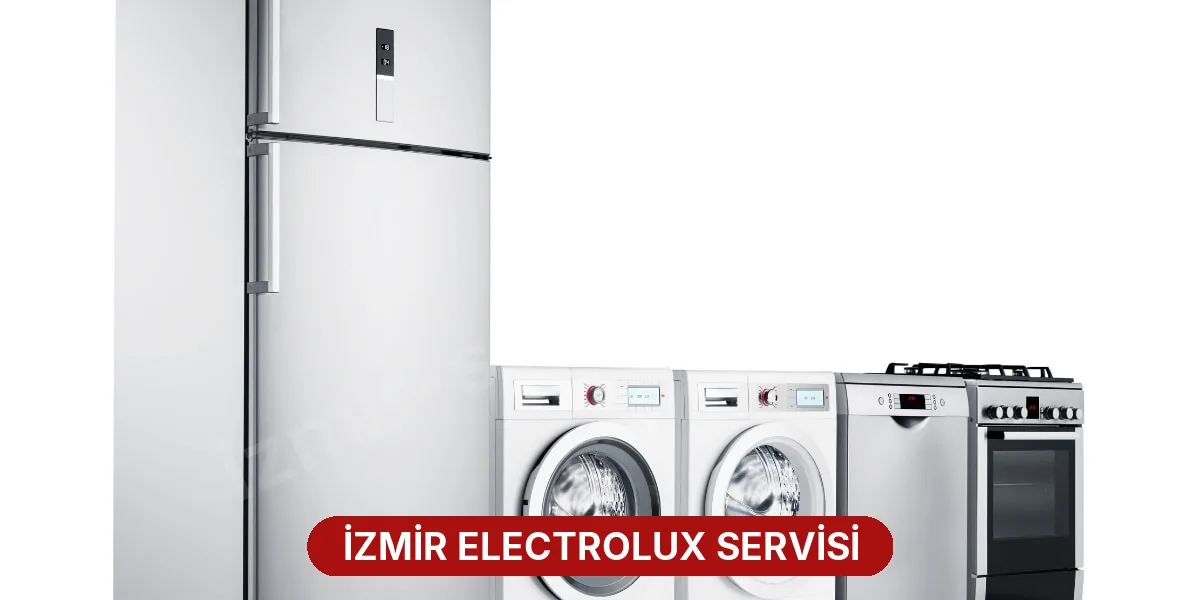İzmir Electrolux Servisi