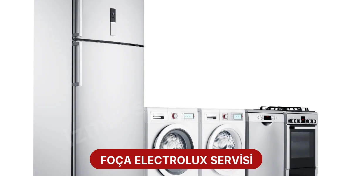 Foça Electrolux Servisi