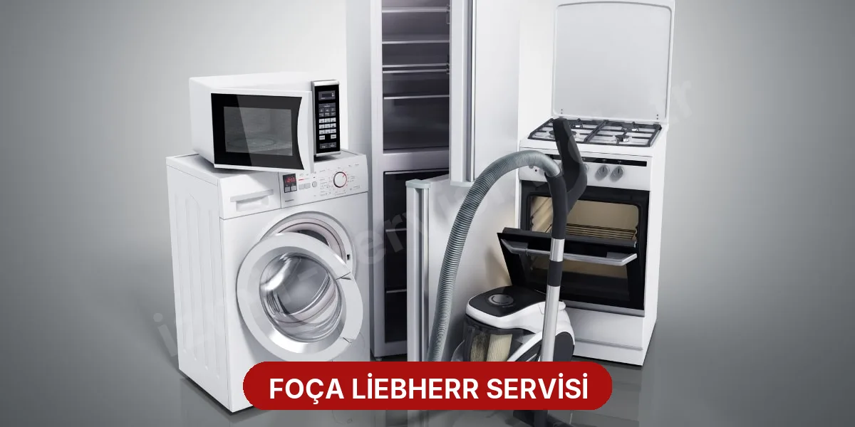 Foça Liebherr Servisi