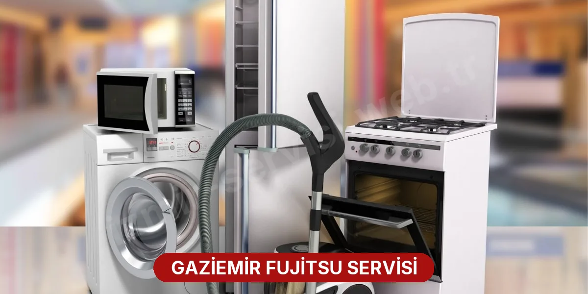 Gaziemir Fujitsu Servisi