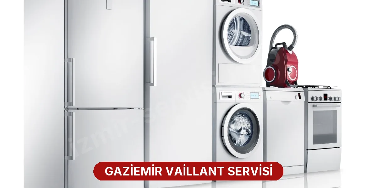 Gaziemir Vaillant Servisi