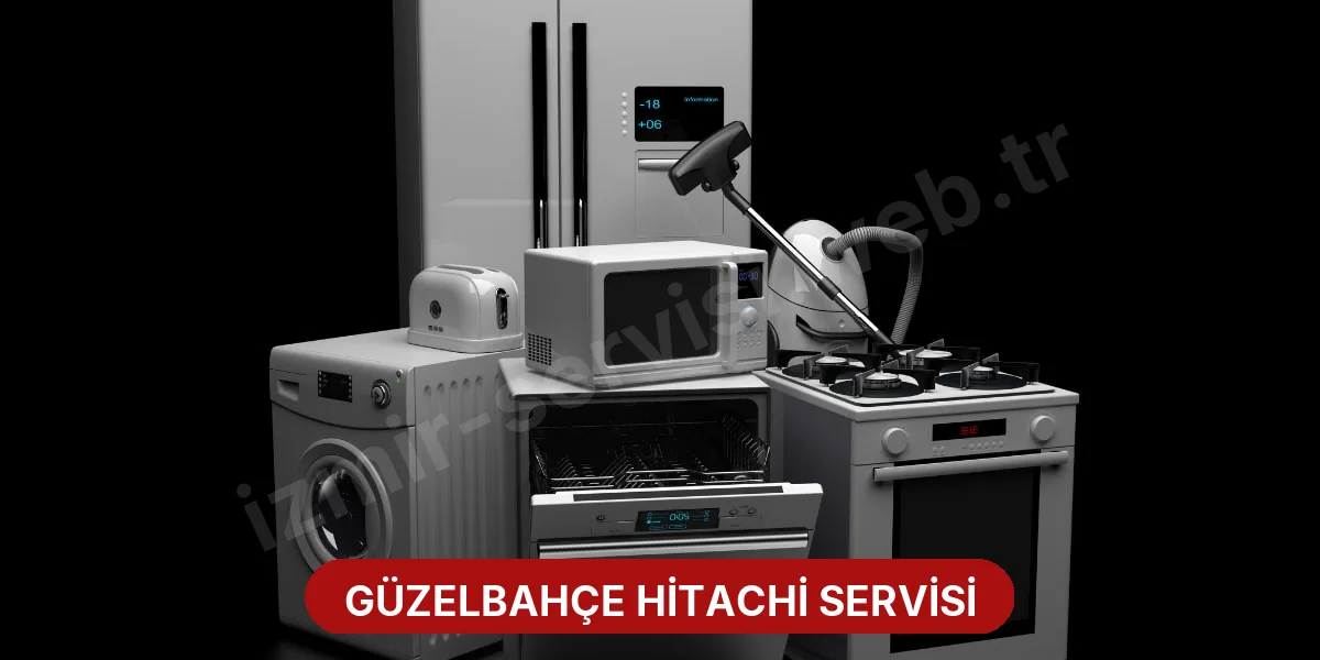 Güzelbahçe Hitachi Servisi