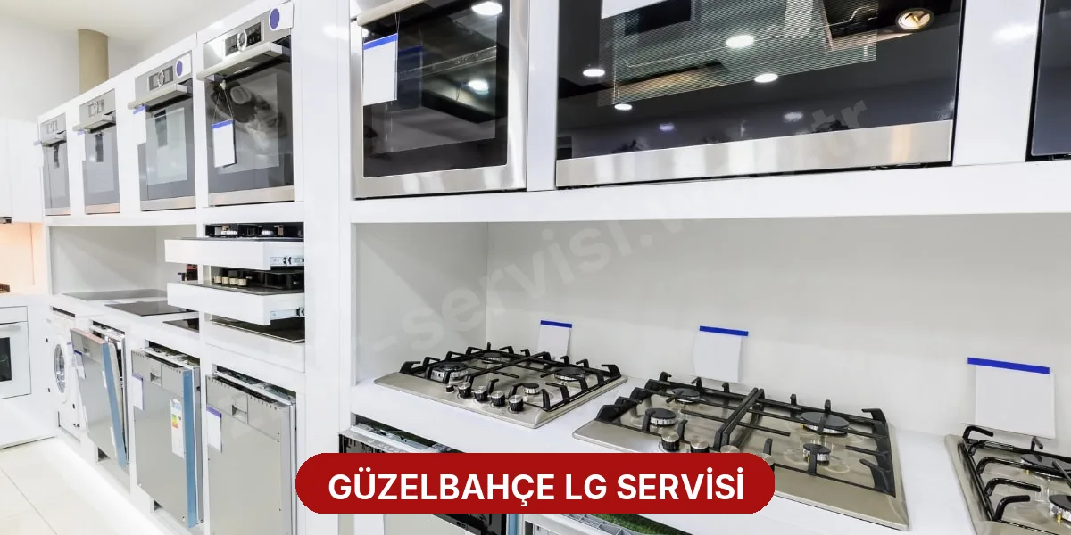 Güzelbahçe LG Servisi