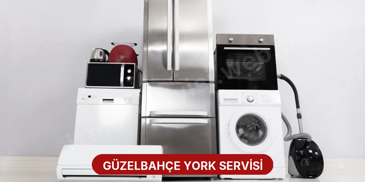 Güzelbahçe York Servisi