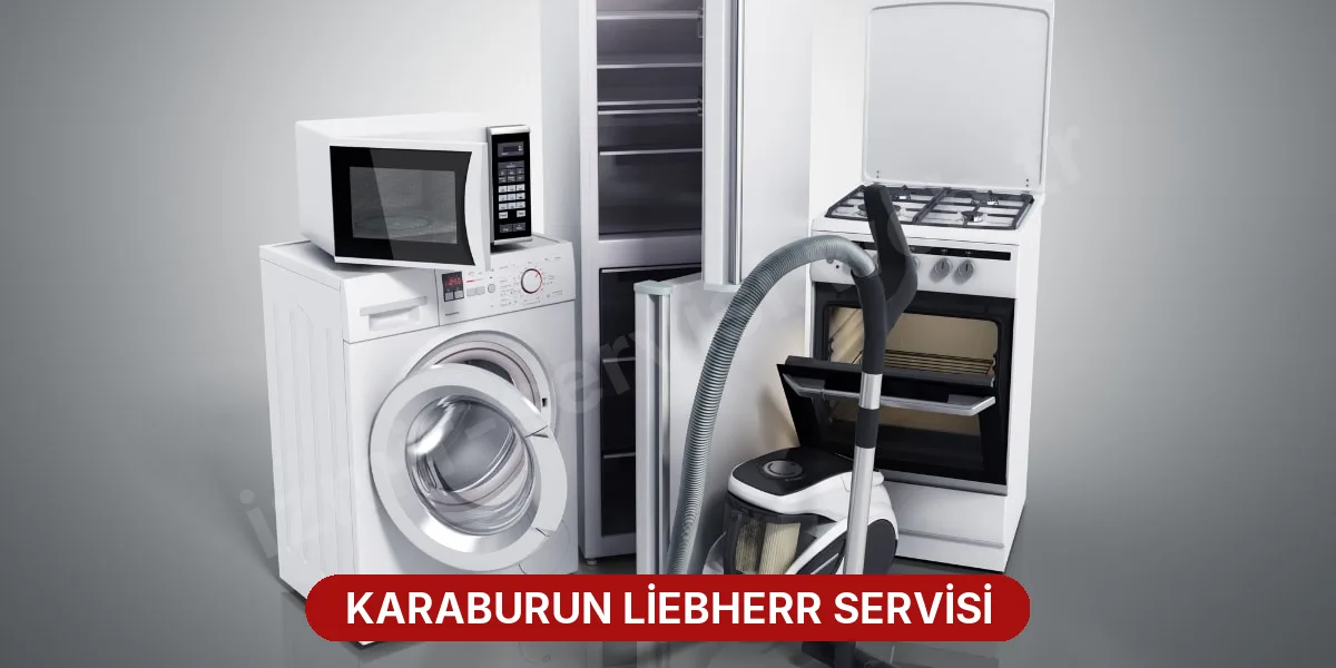 Karaburun Liebherr Servisi