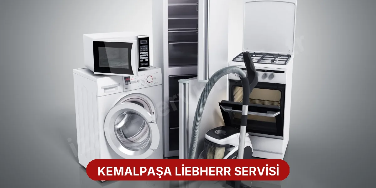 Kemalpaşa Liebherr Servisi