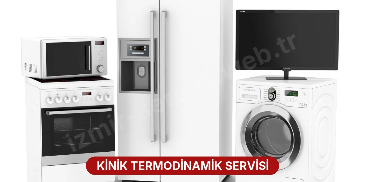 Kinik Termodinamik Servisi