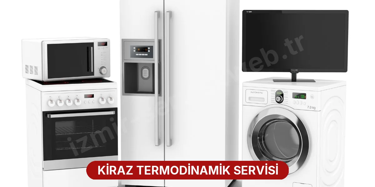 Kiraz Termodinamik Servisi