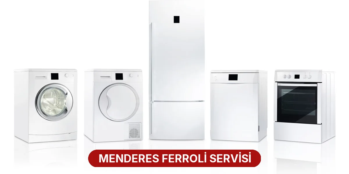 Menderes Ferroli Servisi