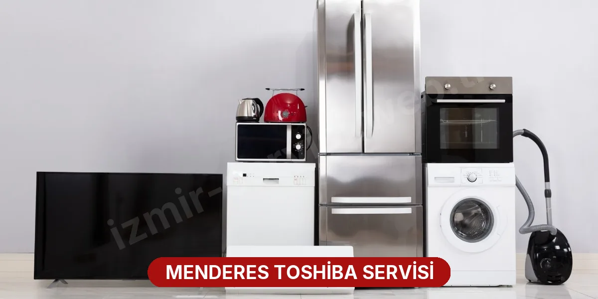 Menderes Toshiba Servisi
