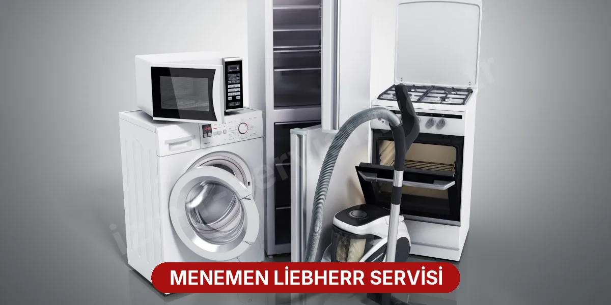 Menemen Liebherr Servisi