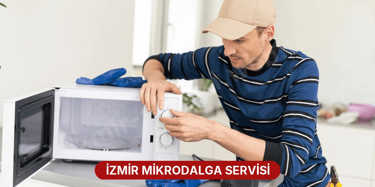İzmir Mikrodalga Servisi