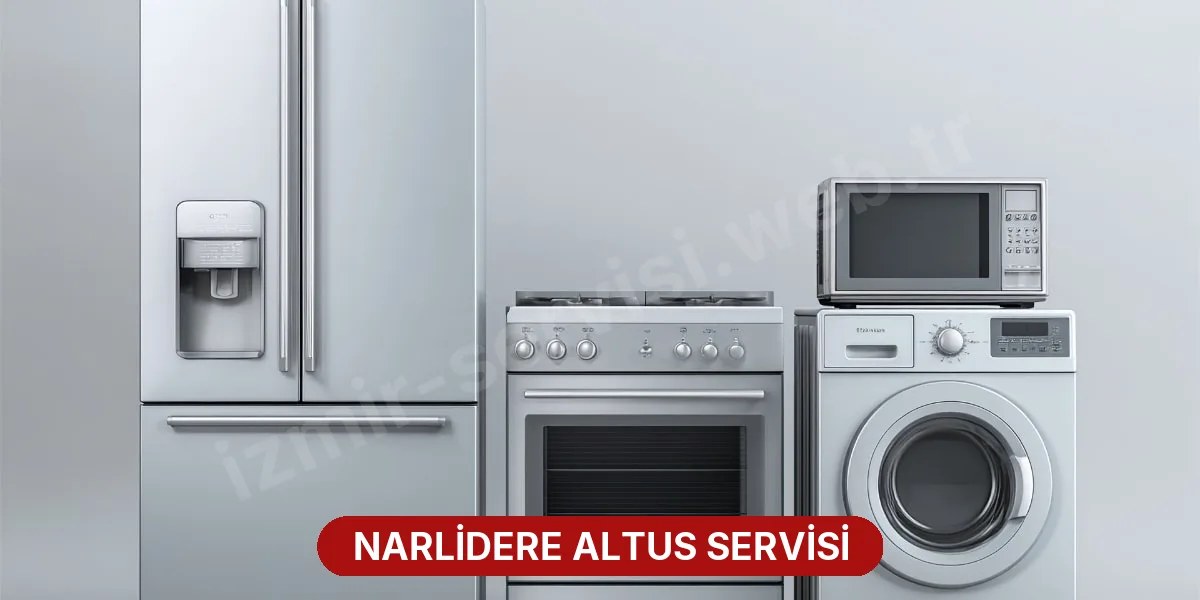 Narlidere Altus Servisi