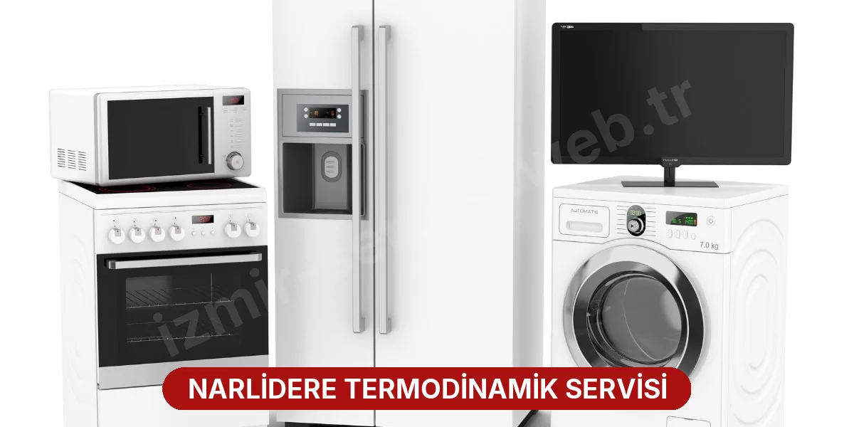 Narlidere Termodinamik Servisi