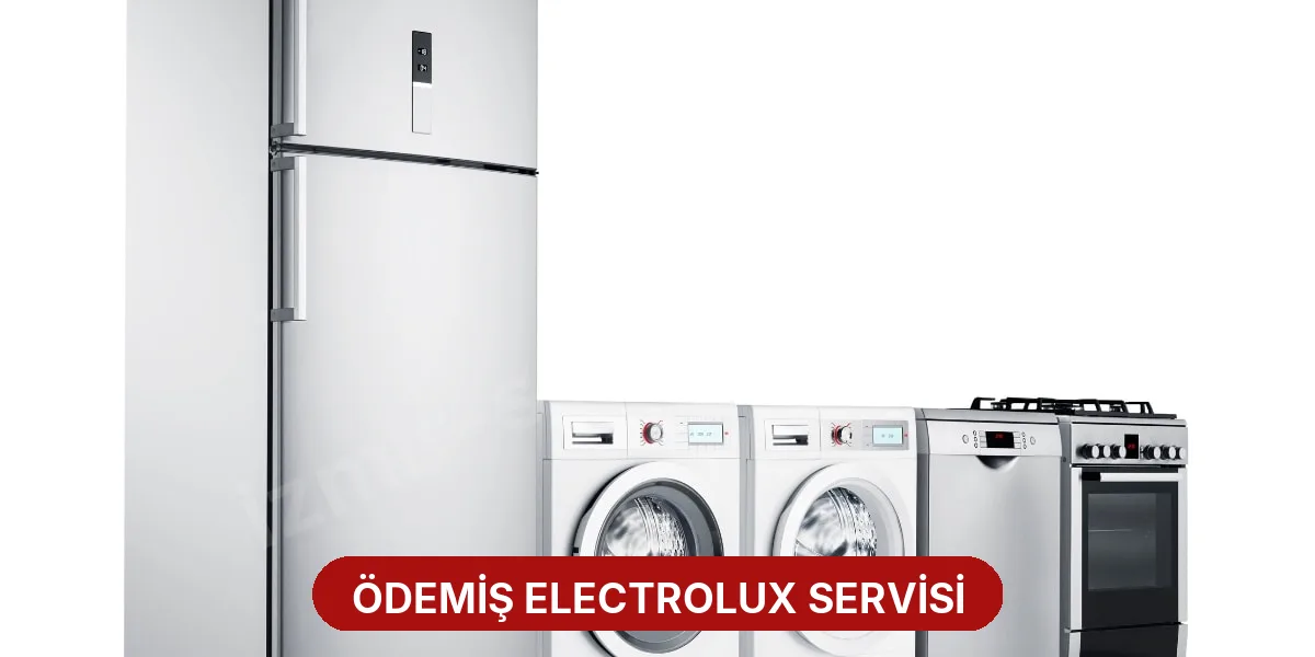 Ödemiş Electrolux Servisi