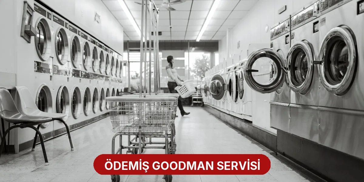 Ödemiş Goodman Servisi