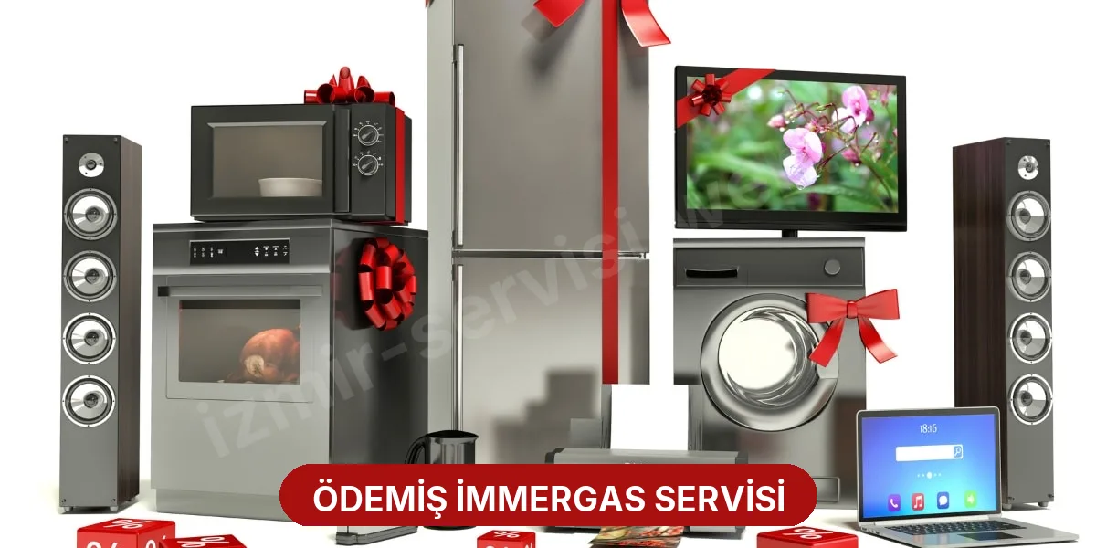 Ödemiş İmmergas Servisi