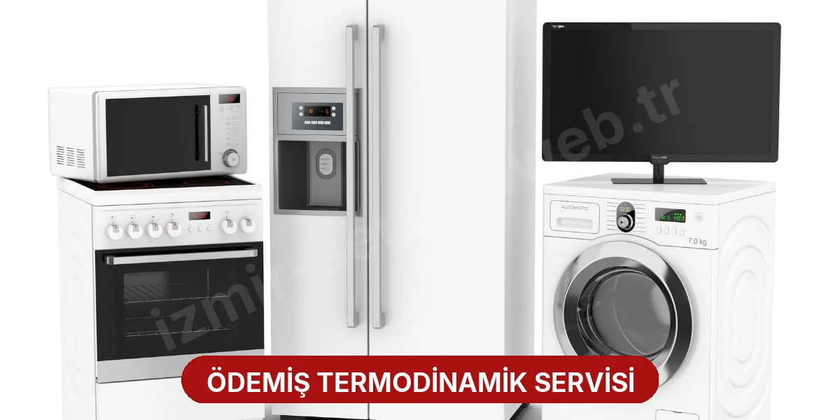 Ödemiş Termodinamik Servisi