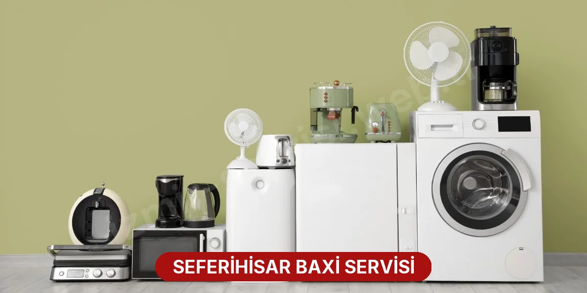 Seferihisar Baxi Servisi
