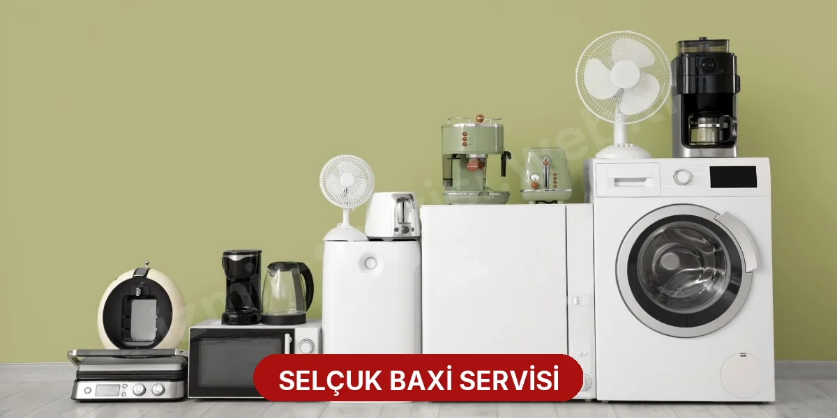 Selçuk Baxi Servisi