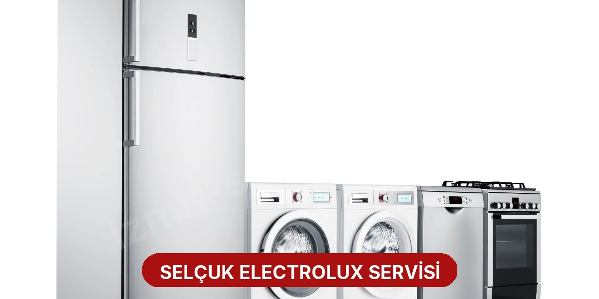 Selçuk Electrolux Servisi