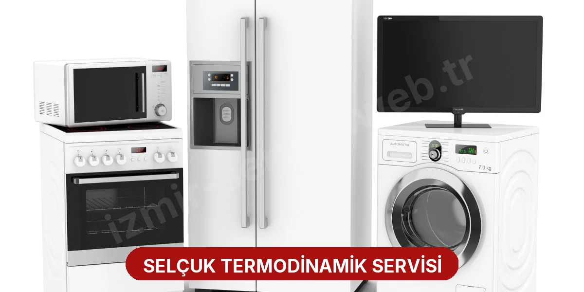 Selçuk Termodinamik Servisi