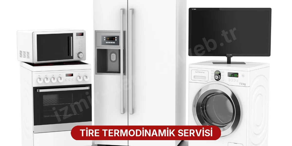 Tire Termodinamik Servisi